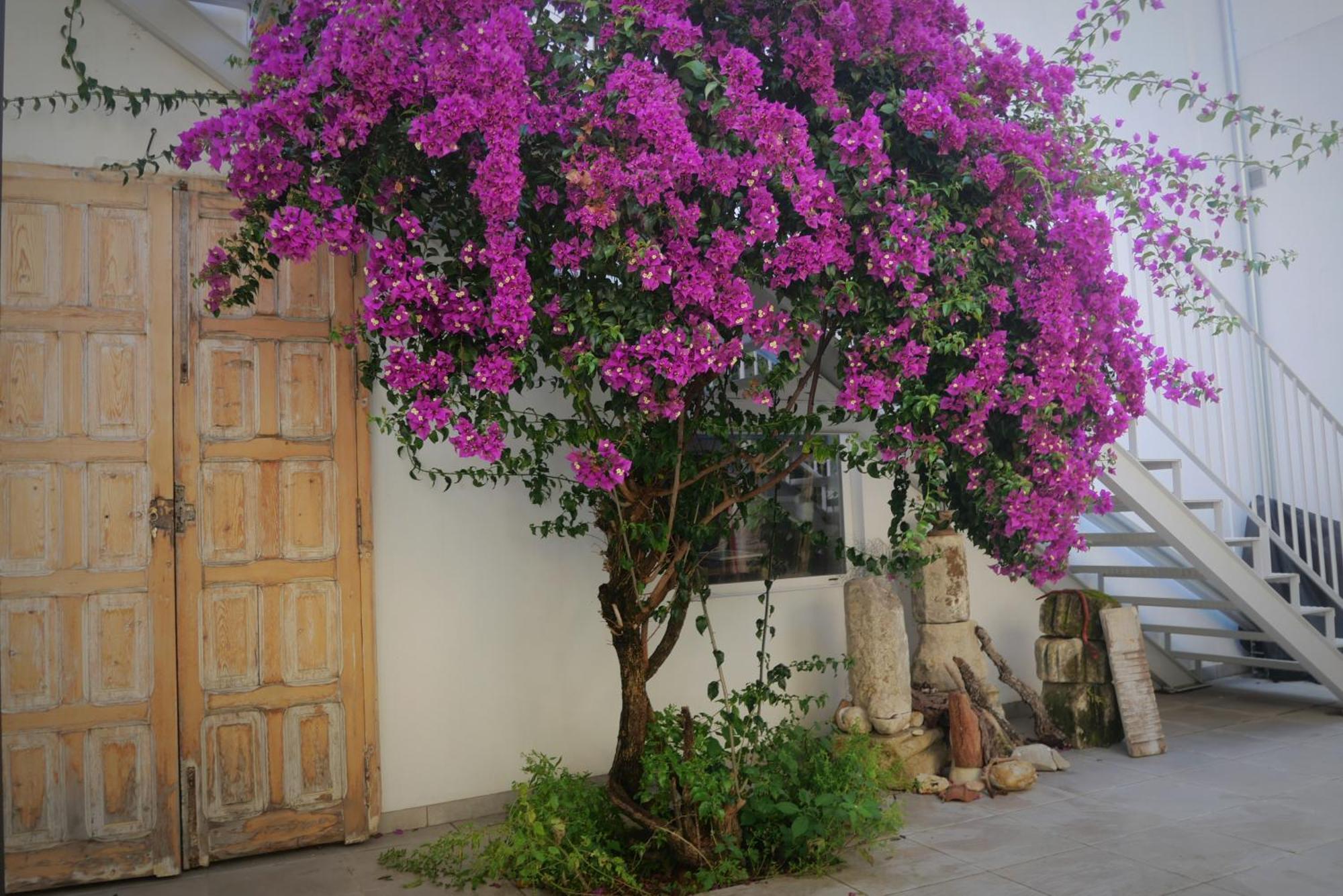 Casa De La Fra *