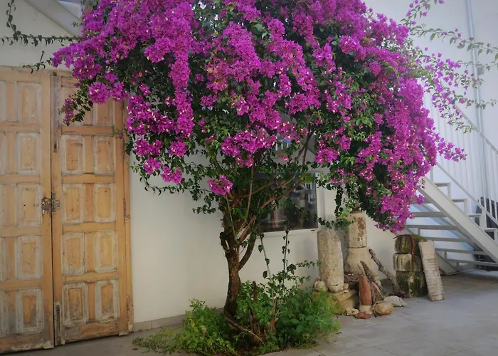Casa De La Fra